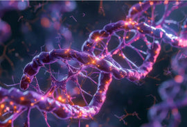 APOE4 Gene Doubles Up Alzheimer’s Risk